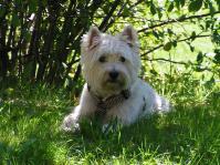 Klik op de foto voor groter formaat